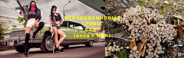 спайс Богородицк