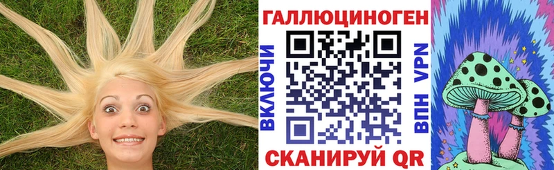 Галлюциногенные грибы GOLDEN TEACHER  закладка  Армавир 